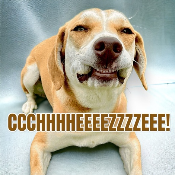 Meet your Posher, Kristi - Picture 12 of 13